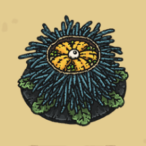 卵入りウニ蒸し